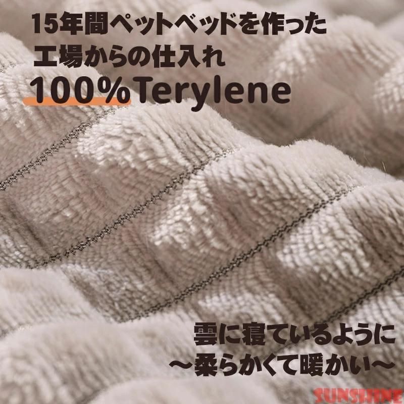 秋冬