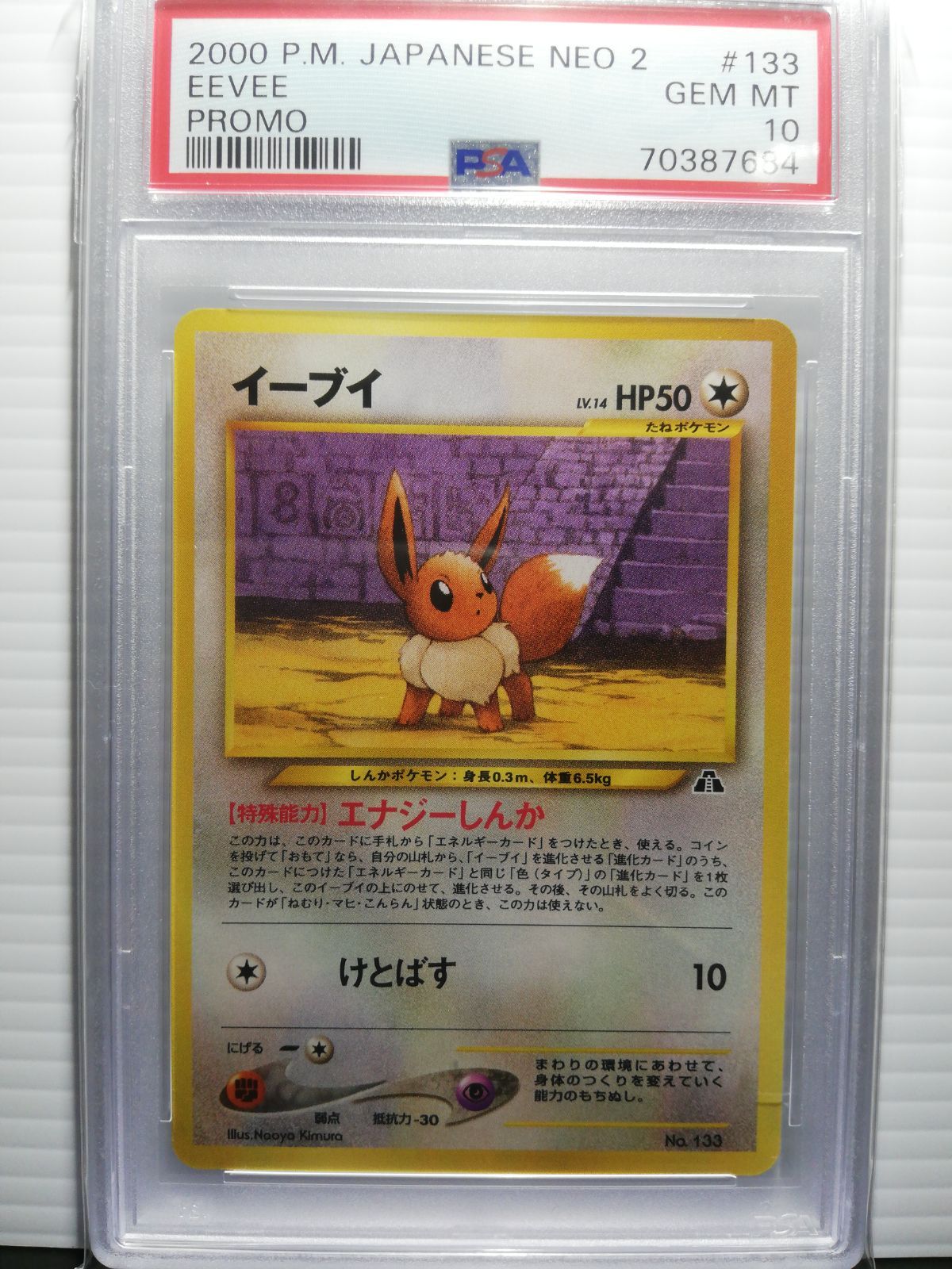 ついに再販開始！】 イーブイ プレミアムファイル PSA10 旧裏 ポケモン