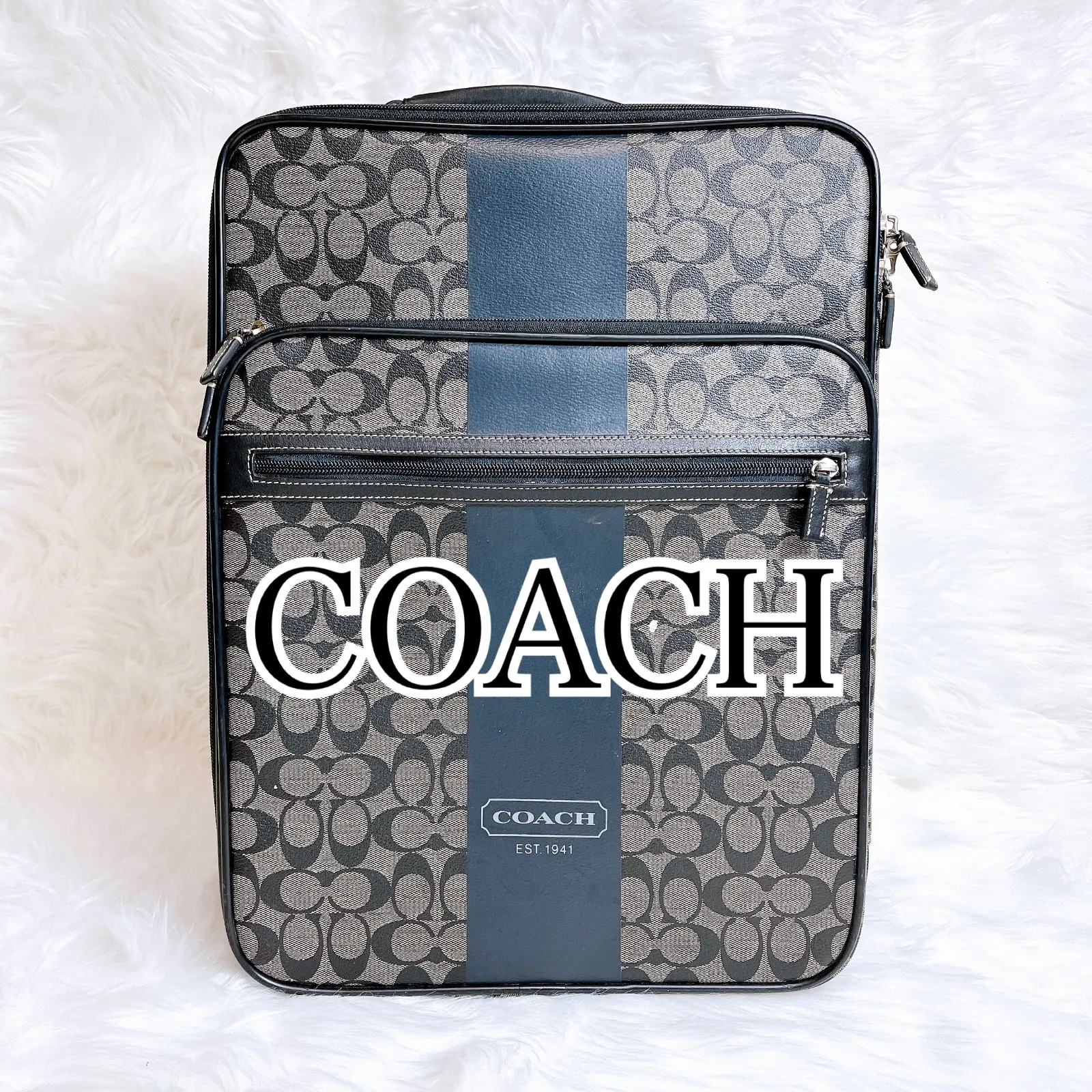 2025年最新】（中古）[コーチ] COACH シグネチャー キャリー