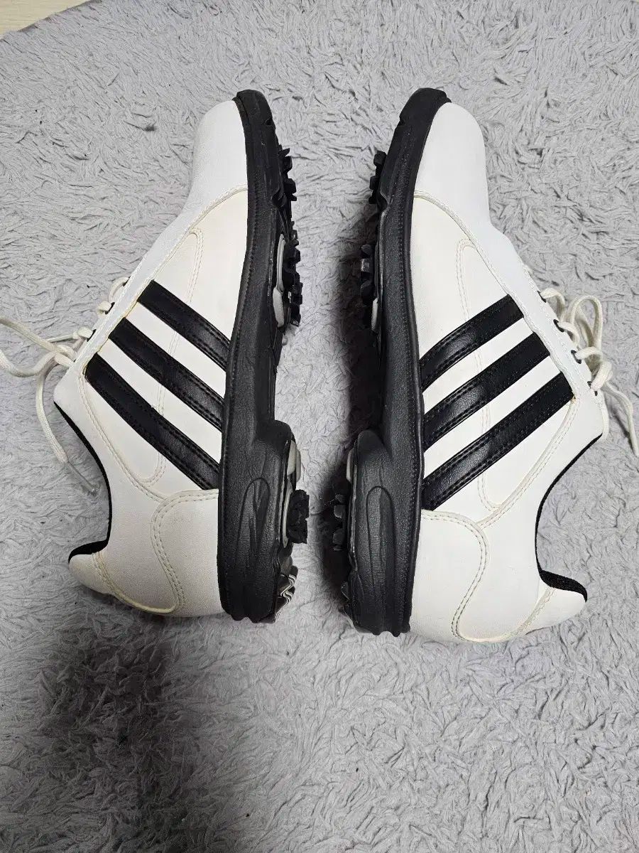 アディダス adidas ゴルフ シューズ 26.5 新品*2102/26.5cm