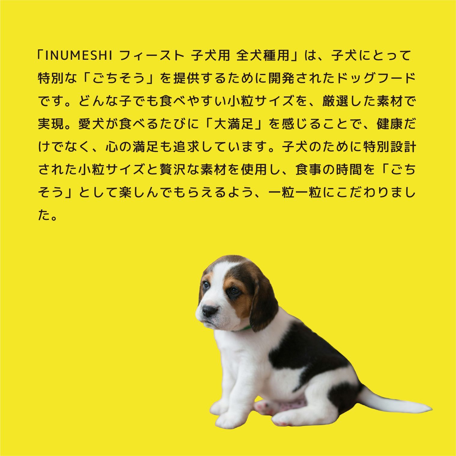 全犬種用 15