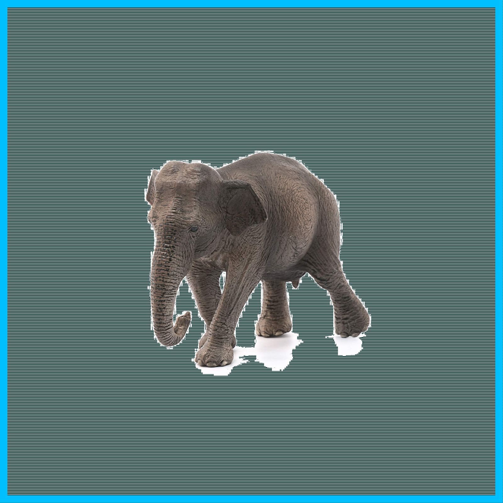 Amazon.co.jp: シュライヒ(Schleich) ワイルドライフ インド象