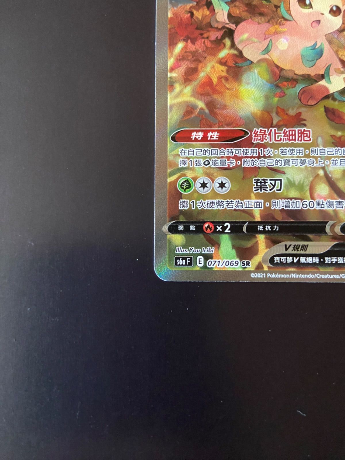 ポケモンカードs6a 071/069 SR リーフィアV 台湾語 ポケモンカード S6a 071/069 SR リーフィアV 台湾語版 - メルカリ