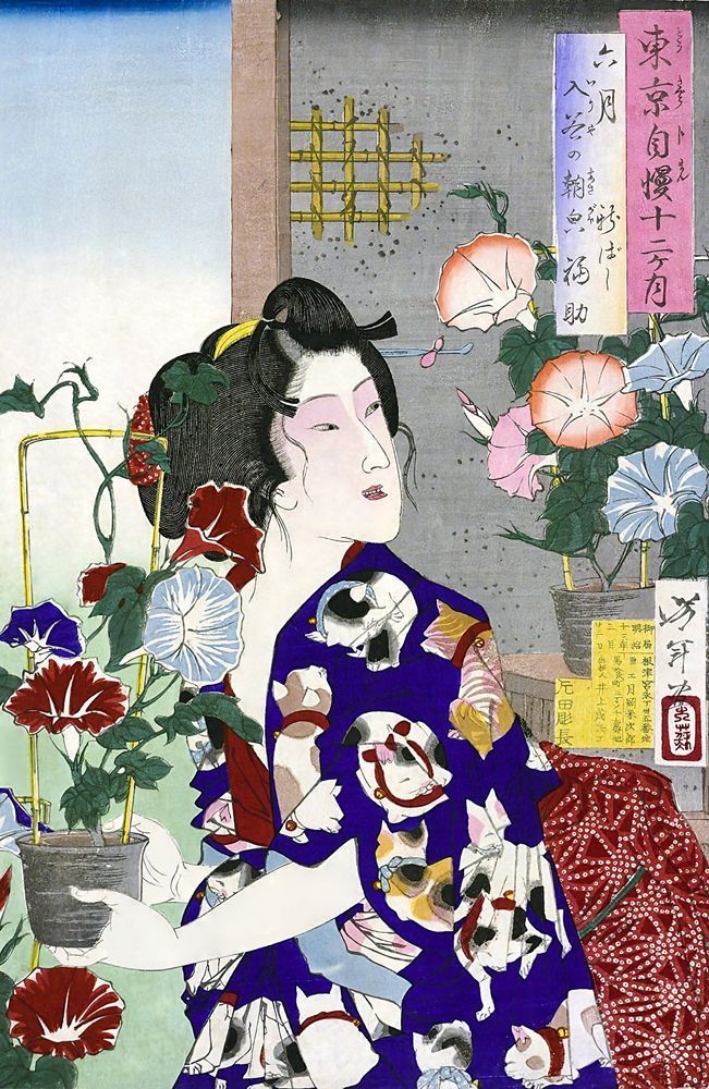月岡芳年 六月入谷の朝顔 新ばし福助 約38×24.6cm 小サイズ 複製