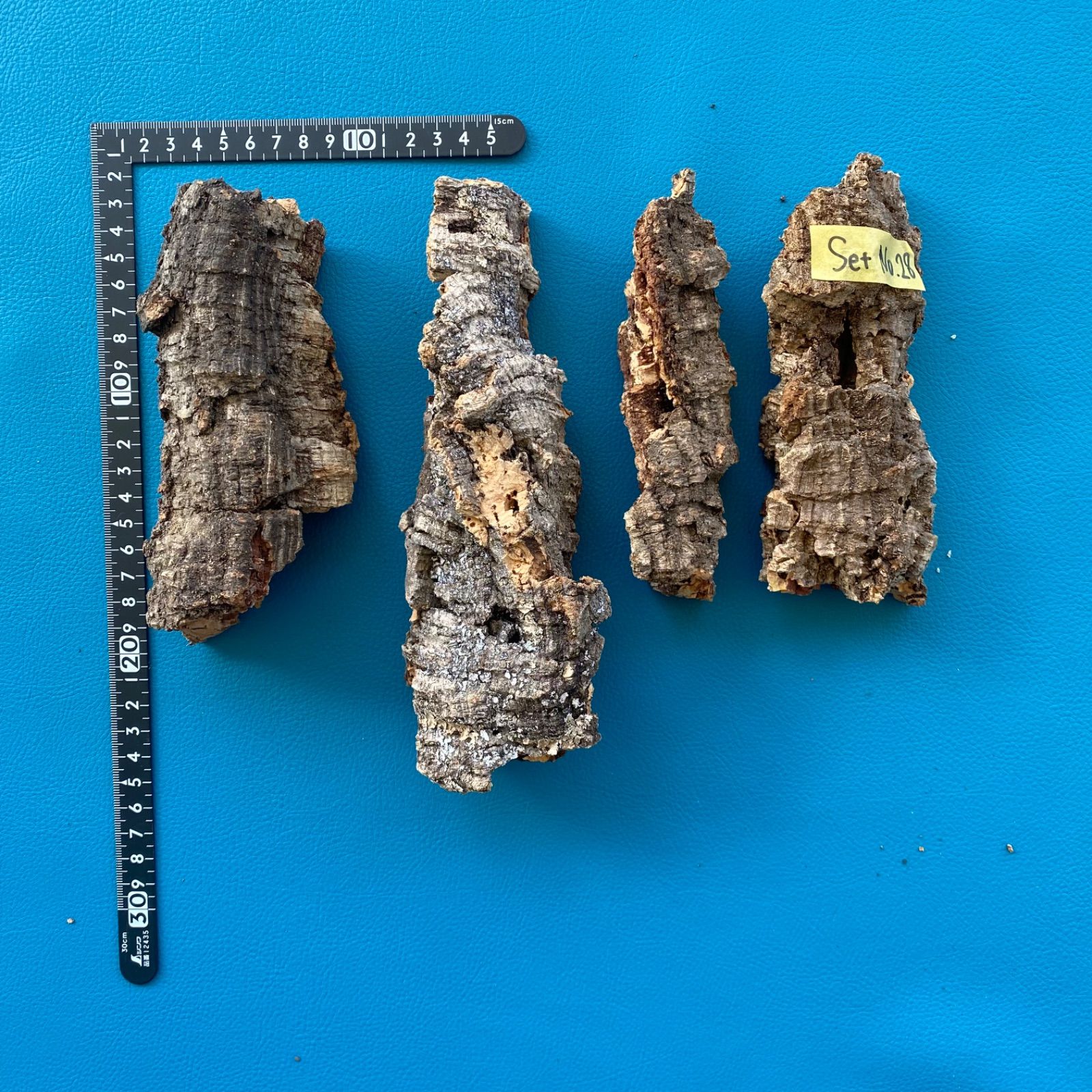 250616 ポルトガル産 キャノンコルク コルク樹皮 バージンコルク