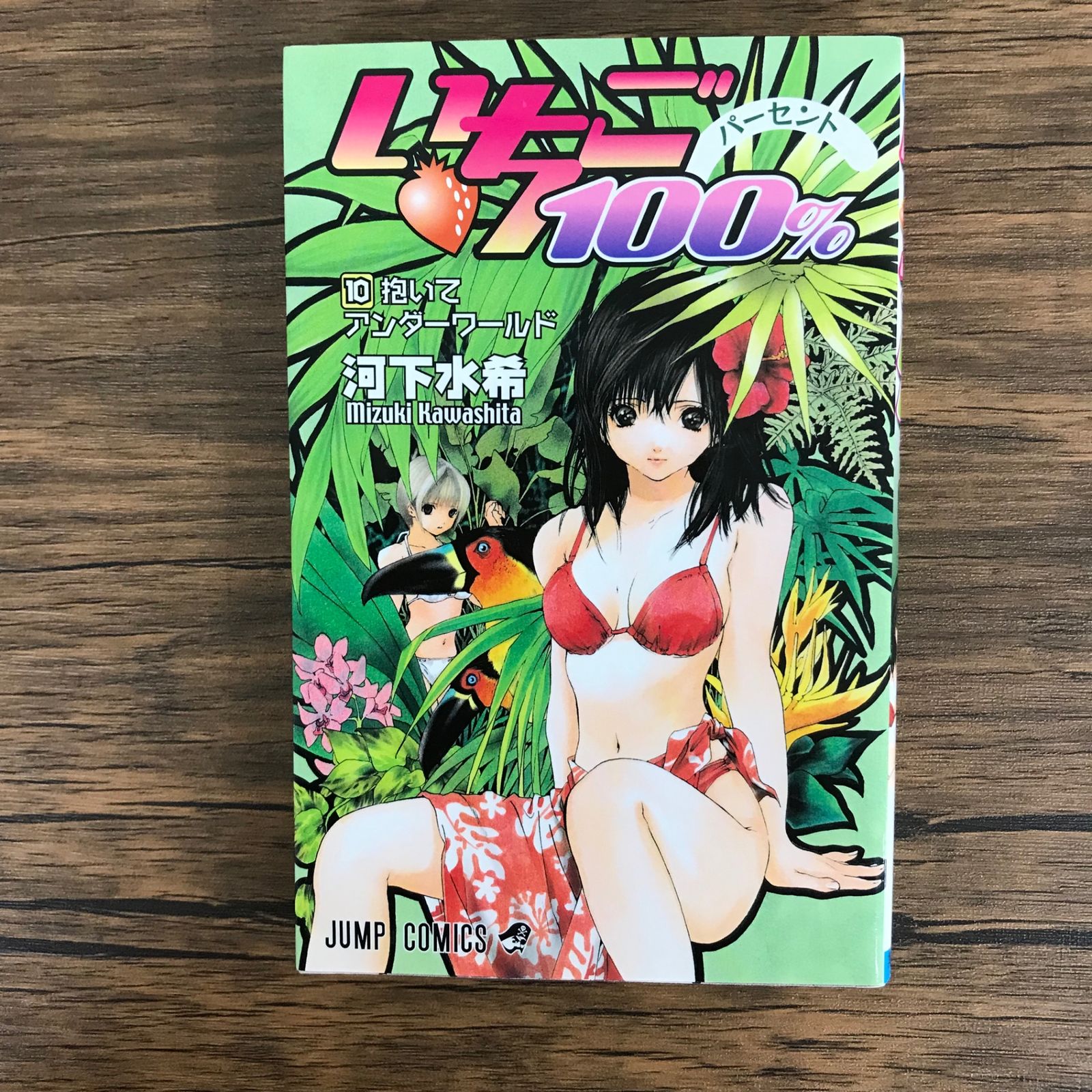 いちご100% 10巻/【作者】河下水希/GF-0225011642-YP/GF09621