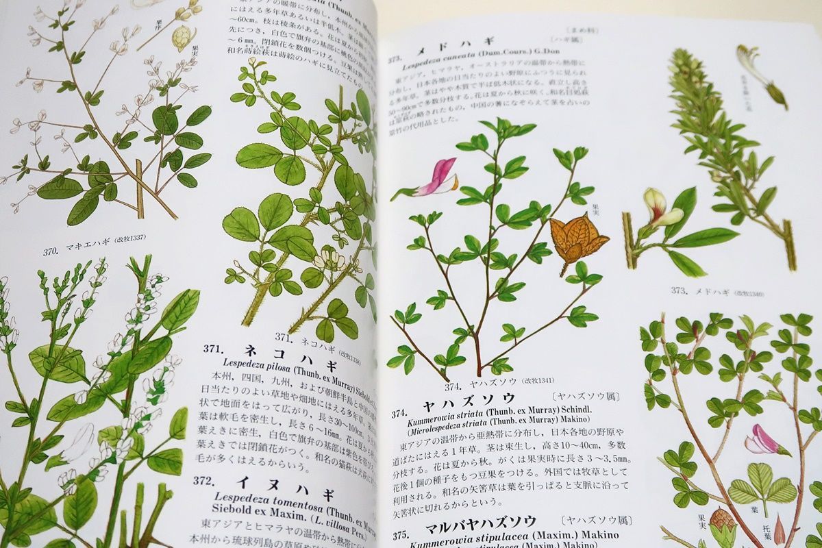 原色牧野植物大圖鑑 離弁花・単子葉植物編 原色牧野植物大圖鑑 離弁花・単子葉植物編 | 牧野 富太郎 |本