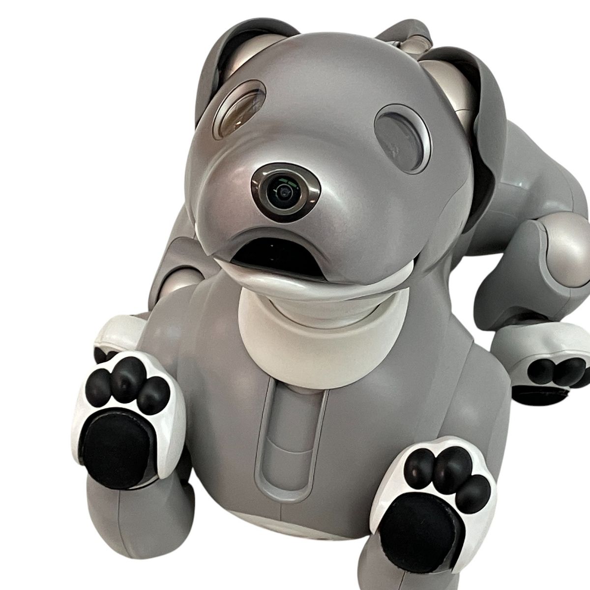 SONY aibo ERS-1000 黒ごま エディション アイボーン ダイス