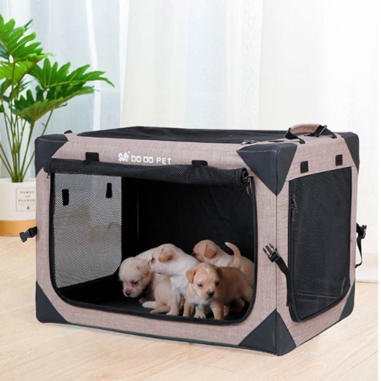 猫 小型犬
