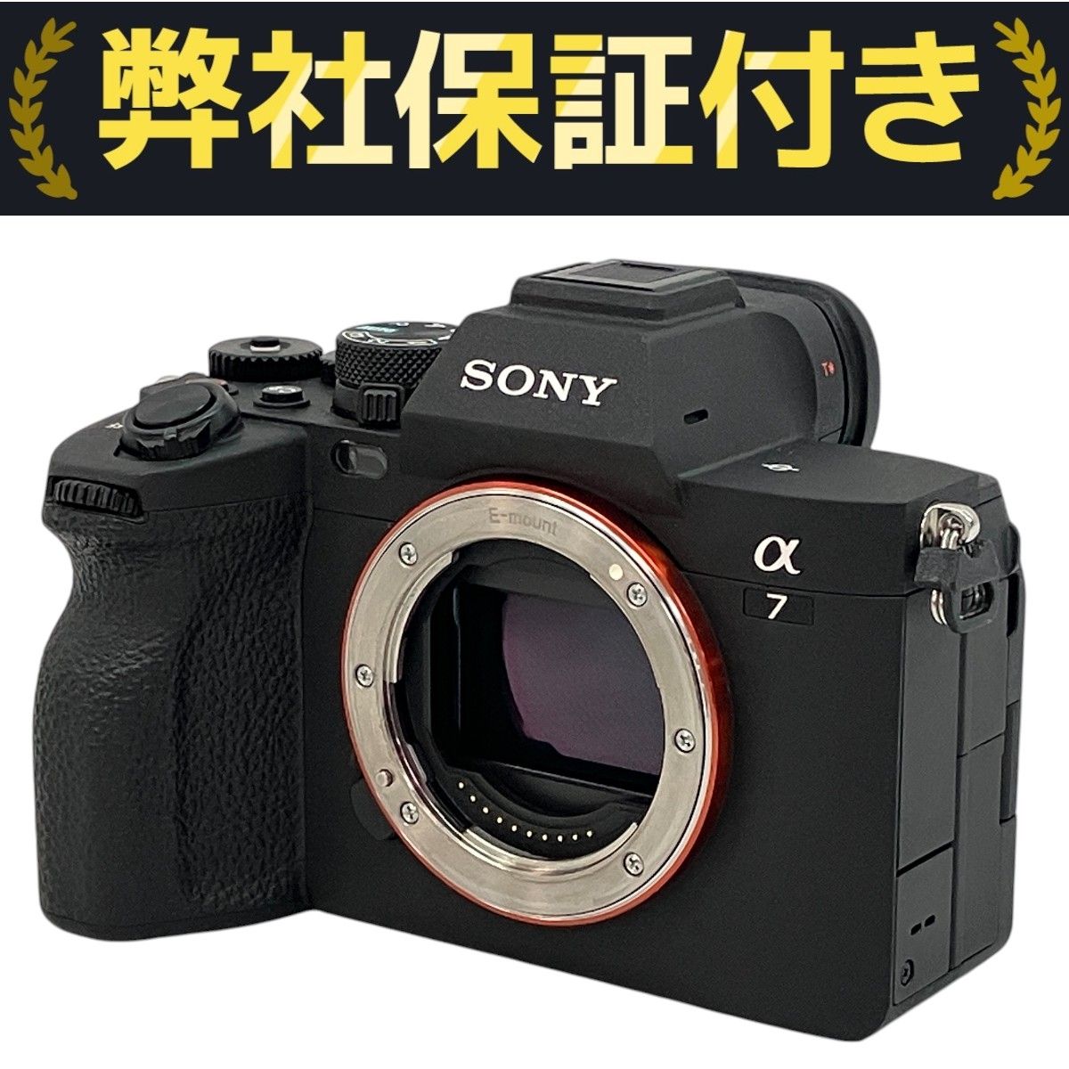 SONY α7 IV ILCE-7M4 ボディ ミラーレス 一眼カメラ ソニー 撮影