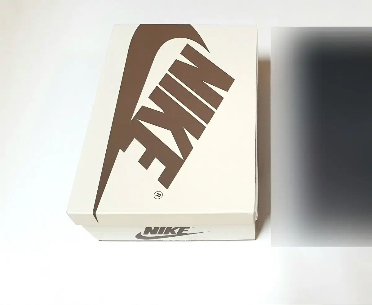 260 NIKE ナイキ ジョーダン 1 トラヴィス SCOTT スコット ベロア ブラウン ダークモカ