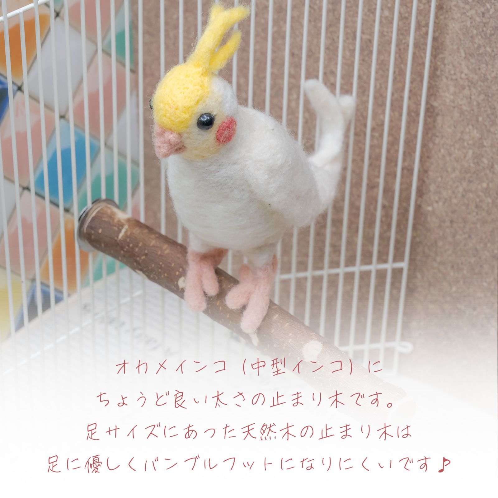 インコちゃんの✩.*˚吊り橋ウルトラロング りんごの木 中型さん向け