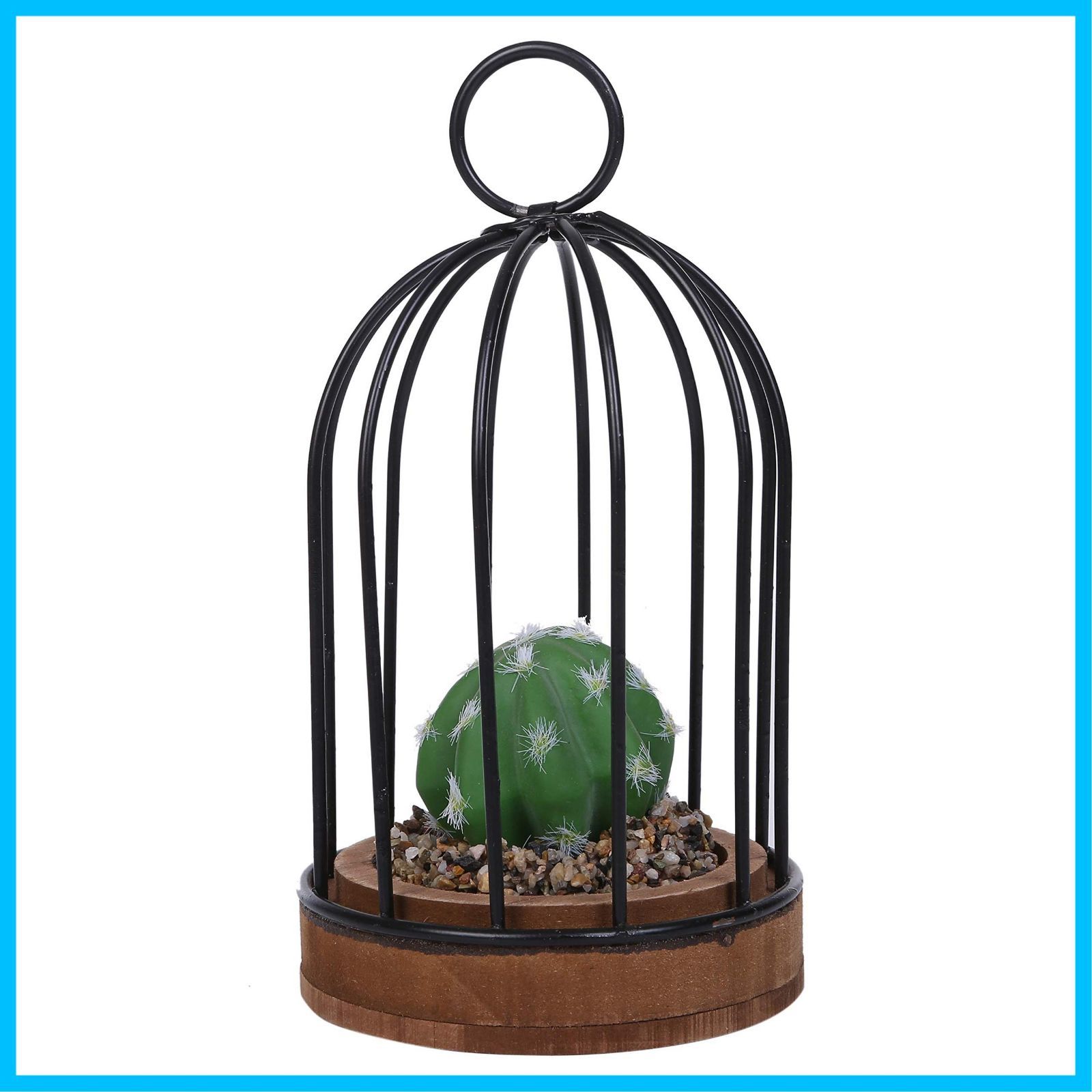 在庫処分 ミニサボテン 観葉植物 鳥かごタイプ テーブルまわり 本棚などに かわいいワンポイント 小 おもち