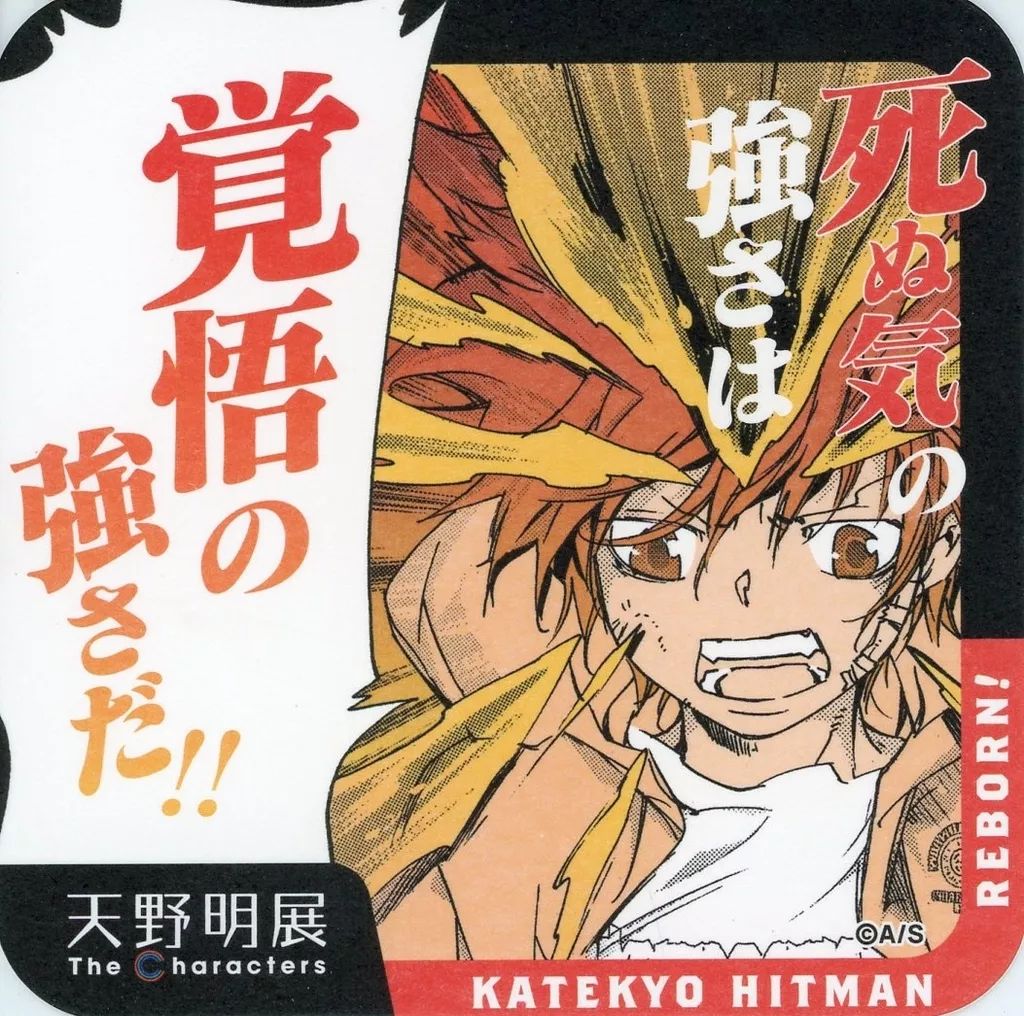中古】コースター 沢田綱吉(家庭教師ヒットマンREBORN!) 「天野