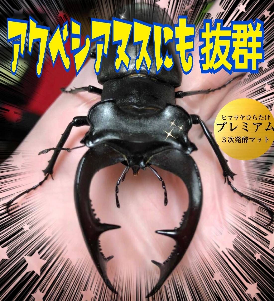 進化した！極上プレミアム3次発酵カブトムシマット【4袋】 特殊