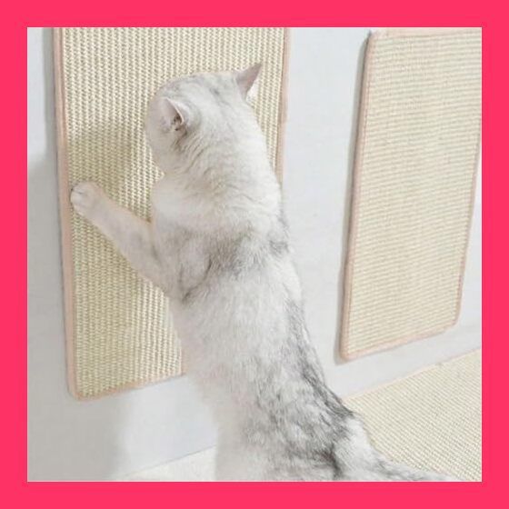 スタッフおすすめ！】YOASONEK 猫用スクラッチャーマット、 猫