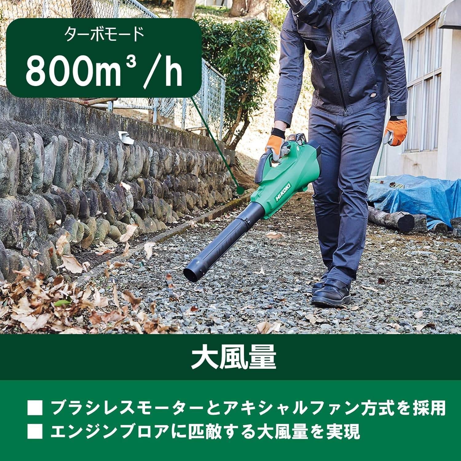 本体のみ