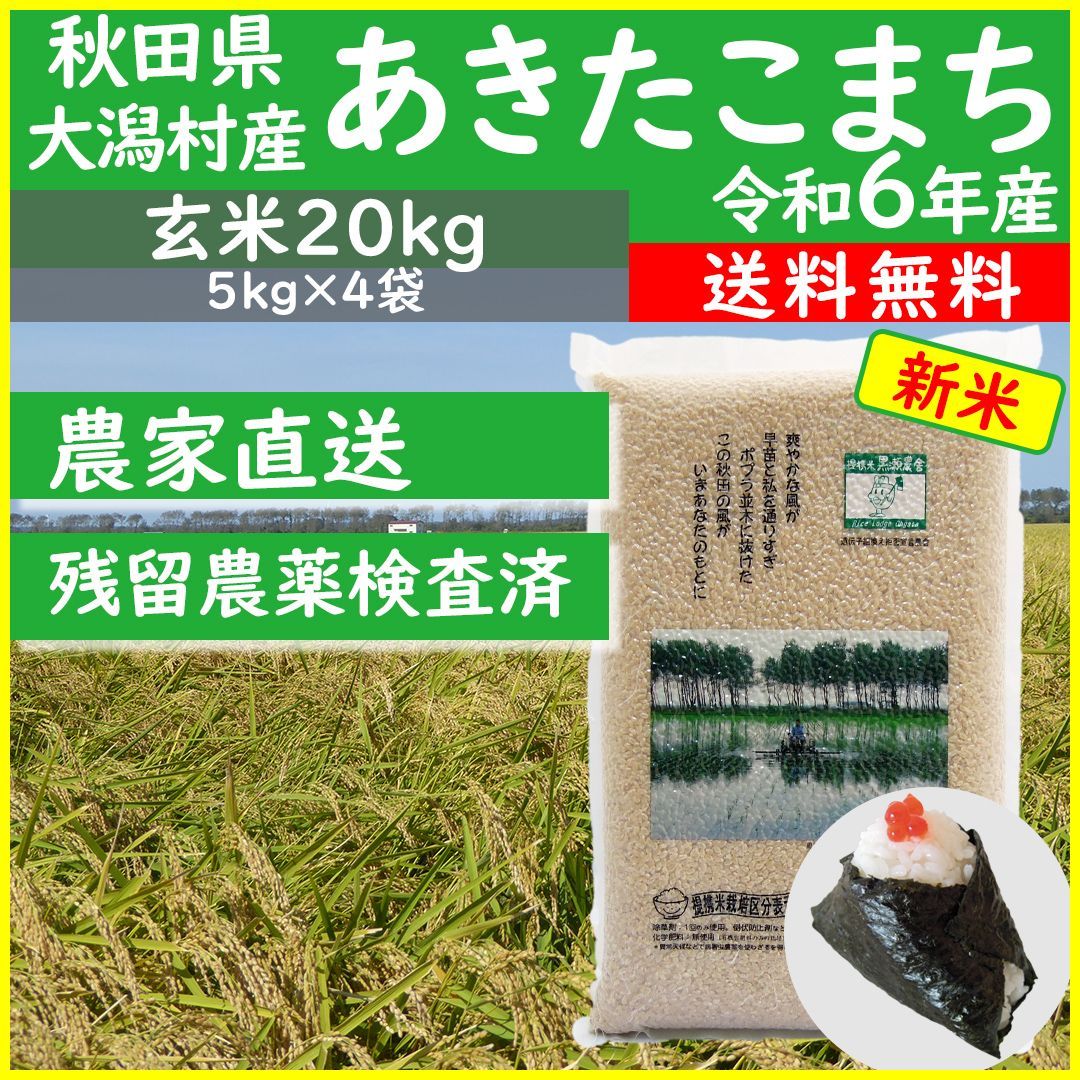 農薬検査済 秋田県産 あきたこまち 20kg玄米