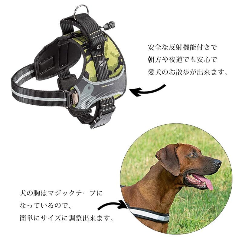 さんぽグッズ