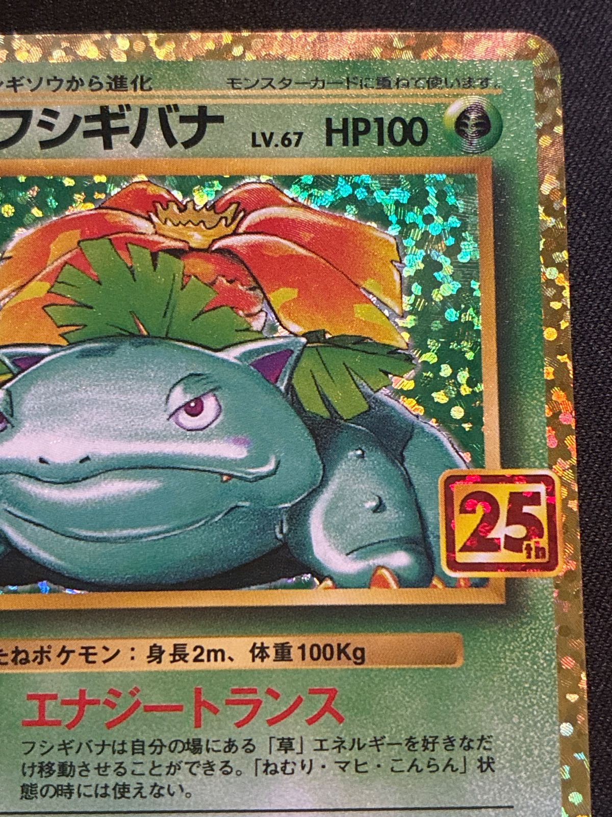 フシギバナ HP100 002/025 25th フシギバナ(25th)【P】{002/025} [S8a-P] (Used) （1522174648