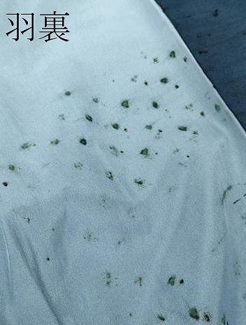 平和屋本店□極上 男性 紬 髭紬羽織セット キングサイズ 濃紺 逸品 未