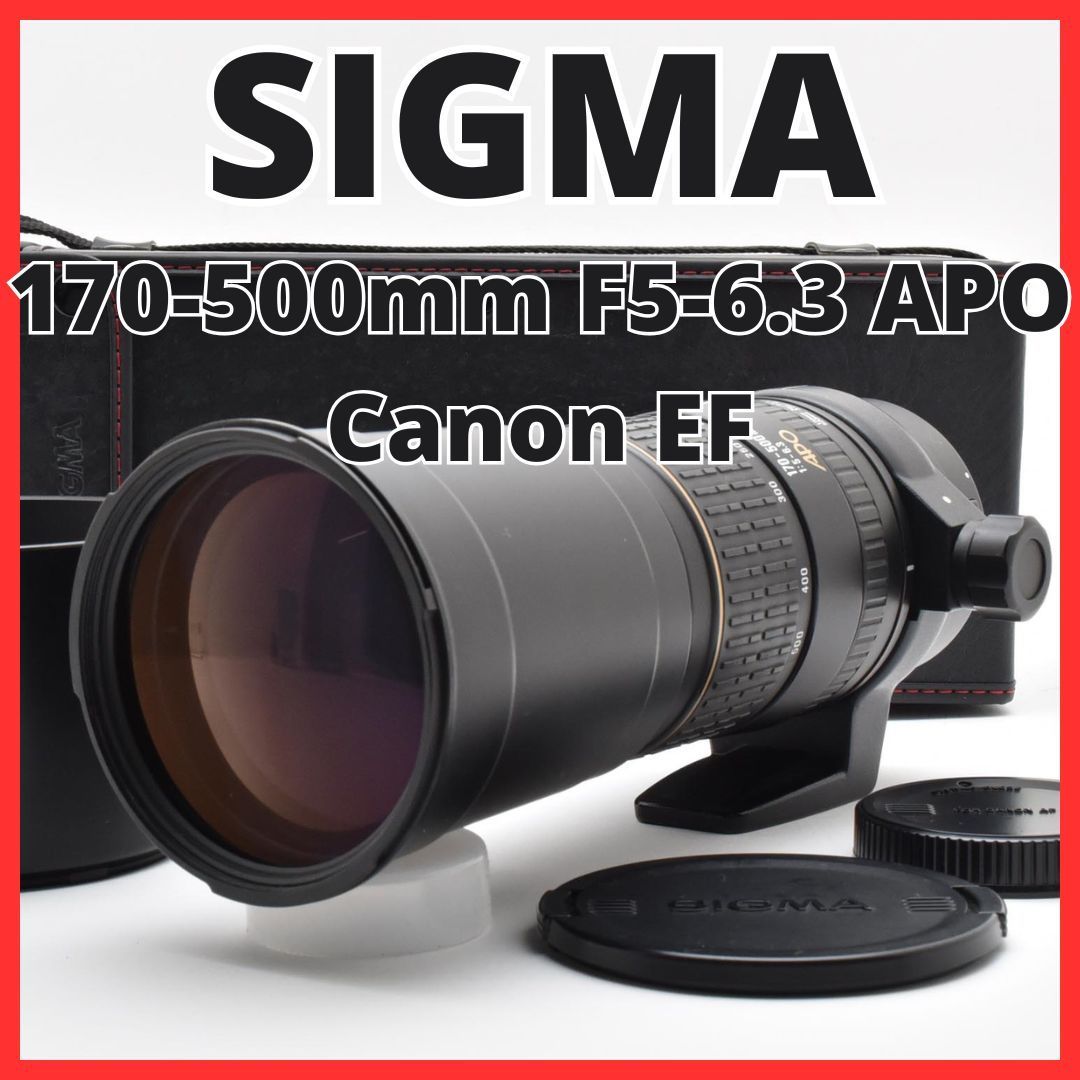I25 6891 8 シグマ SIGMA 170-500mm F5-6.3 APO キヤノン Canon EFマウント用