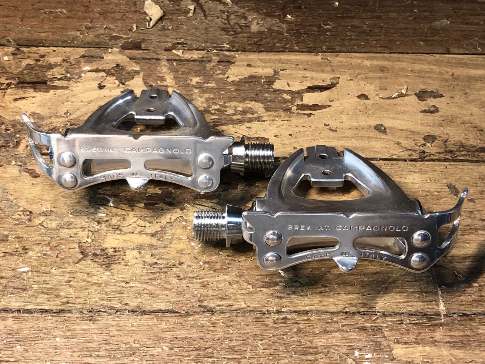 CAMPAGNOLO