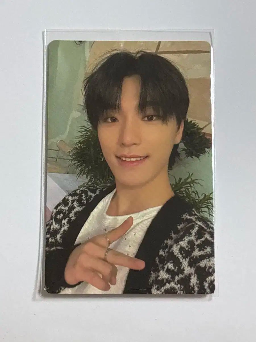 SEVENTEEN セブチ セブンティーン ディノ チャン イチャン 616500543635d108972d16e6aaf816