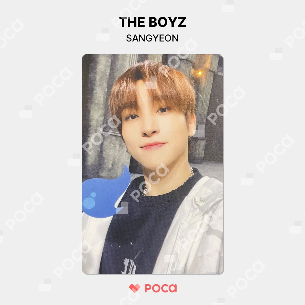 THE BOYZ サンヨン トレカ 俺だけレベルアップ 公式 トレカ