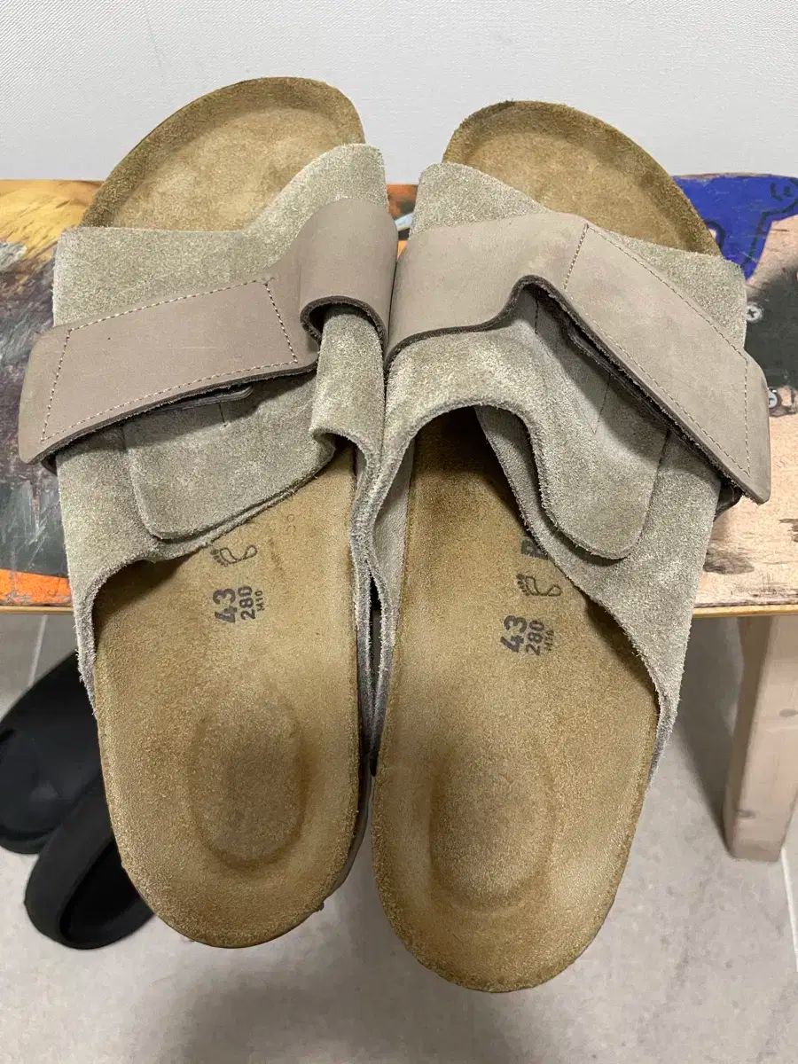 BIRKENSTOCK(ビルケンシュトック) 京都 280 出品 BIRKENSTOCKのPOP UP