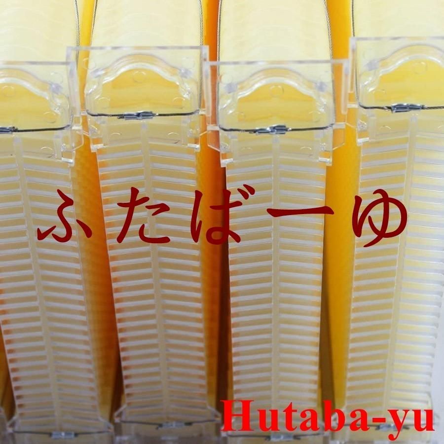 ミツバチ