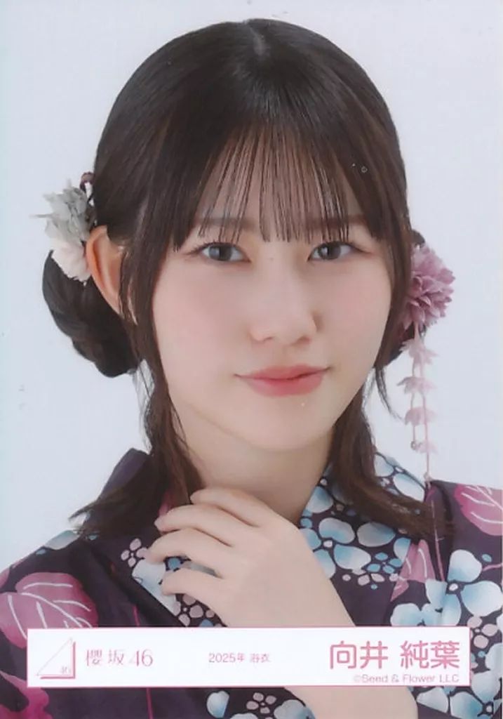中古】生写真(乃木坂46) 櫻坂46/向井純葉/バストアップ/櫻坂46