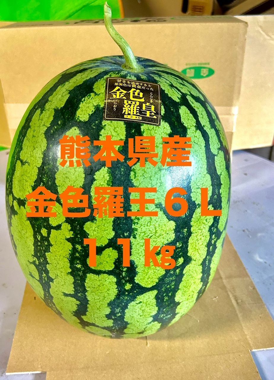 【特大金色スイカ】熊本県産金色羅皇６Ｌ（１１㎏）正規品