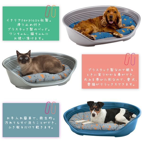 シエスタ