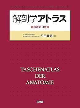 【中古】解剖学アトラス (平田 幸男)