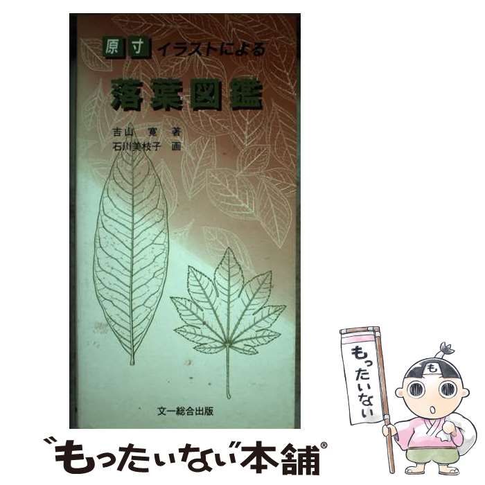 中古】 原寸イラストによる落葉図鑑 / 吉山寛、石川美枝子 / 文一総合 