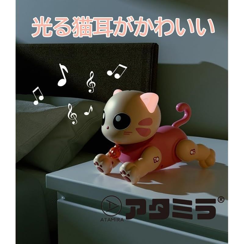 小学生