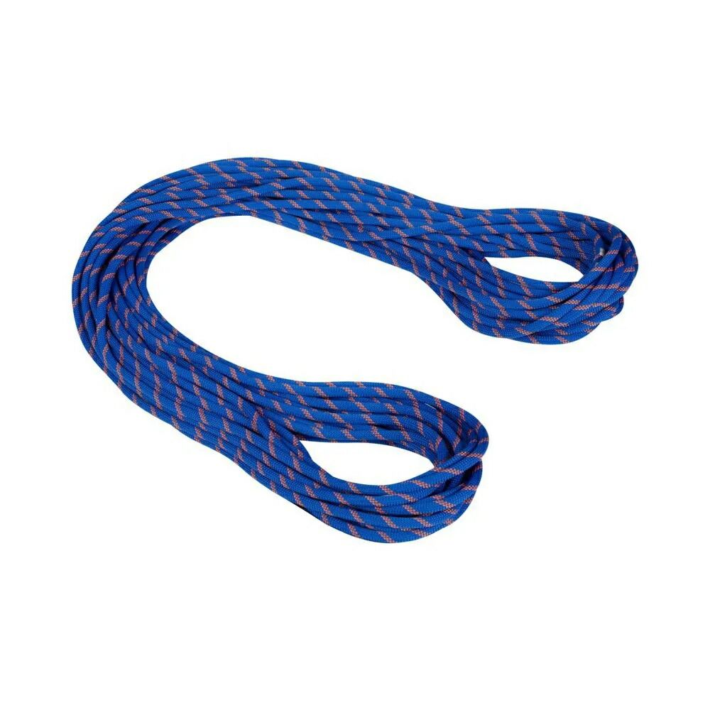 お取り寄せ ２～４週間で発送 マムート アルパイン センダー ドライ 9.0mm ロープ Dry Standard. Ice | Sunrise MAMMUT Alpine Sender Dry 9.0 mm t