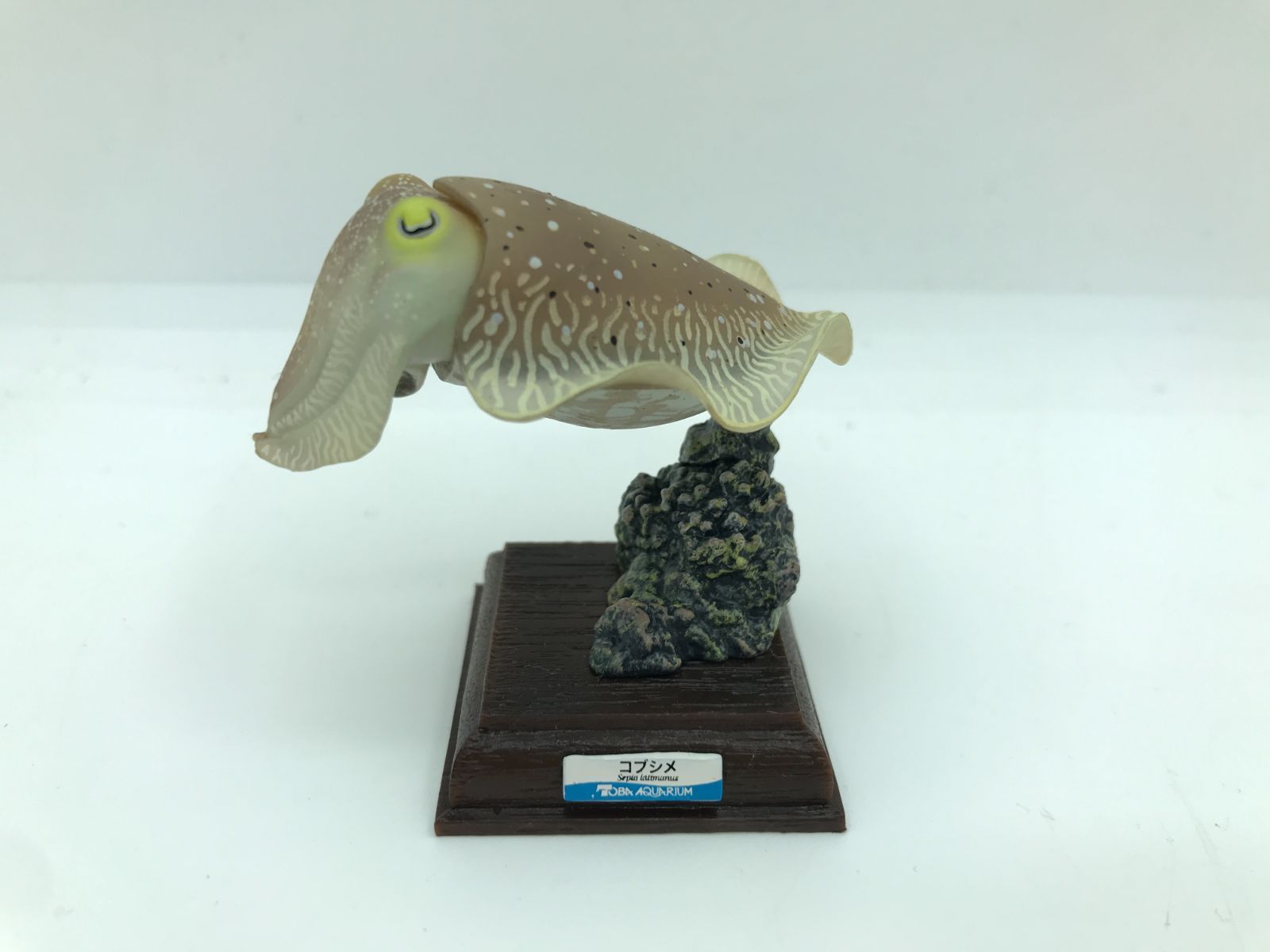 ダグトリオチームバトル ３vs３ 拡張シート第3弾(緑版) ダグトリオチームバトル 3vs3 拡張シート第3弾(緑版) - メルカリ