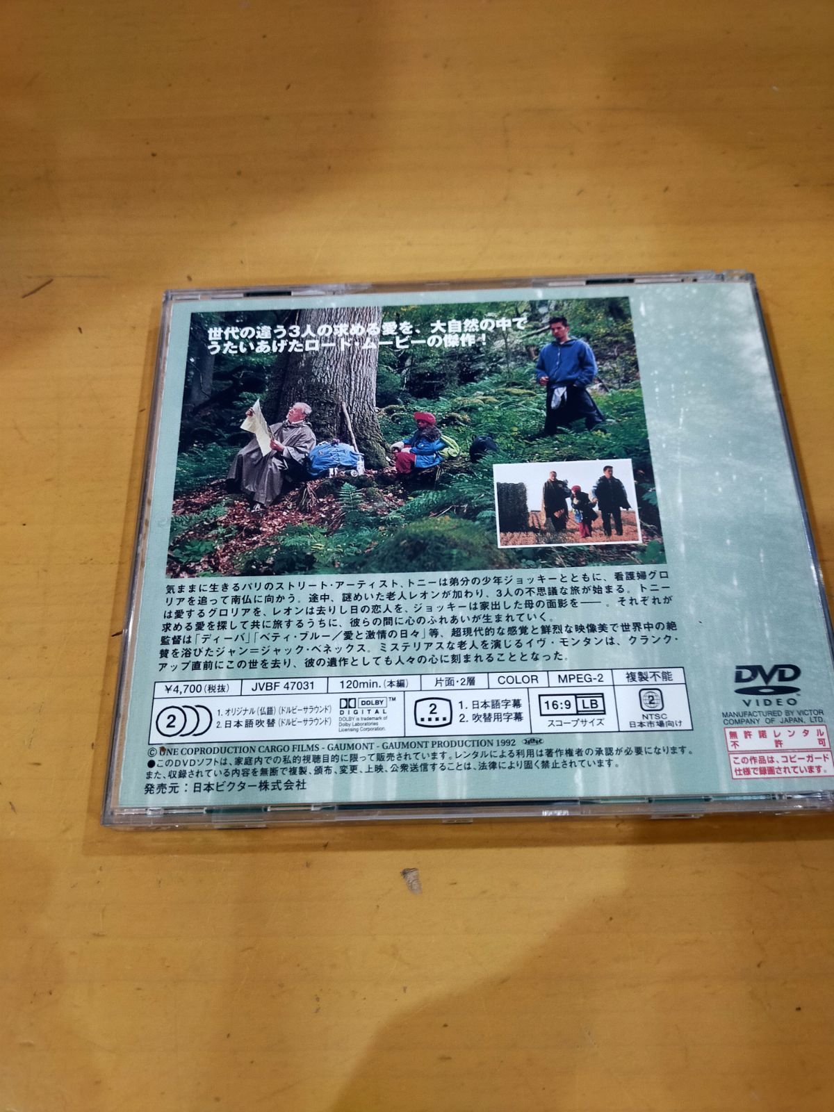 愛を探す旅人たち ジャンク品