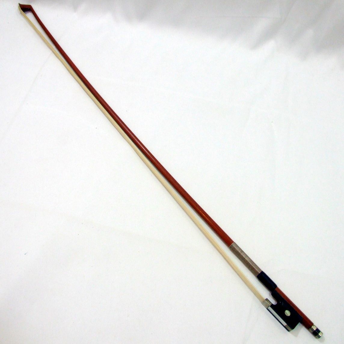 Pygmalius DERIUS