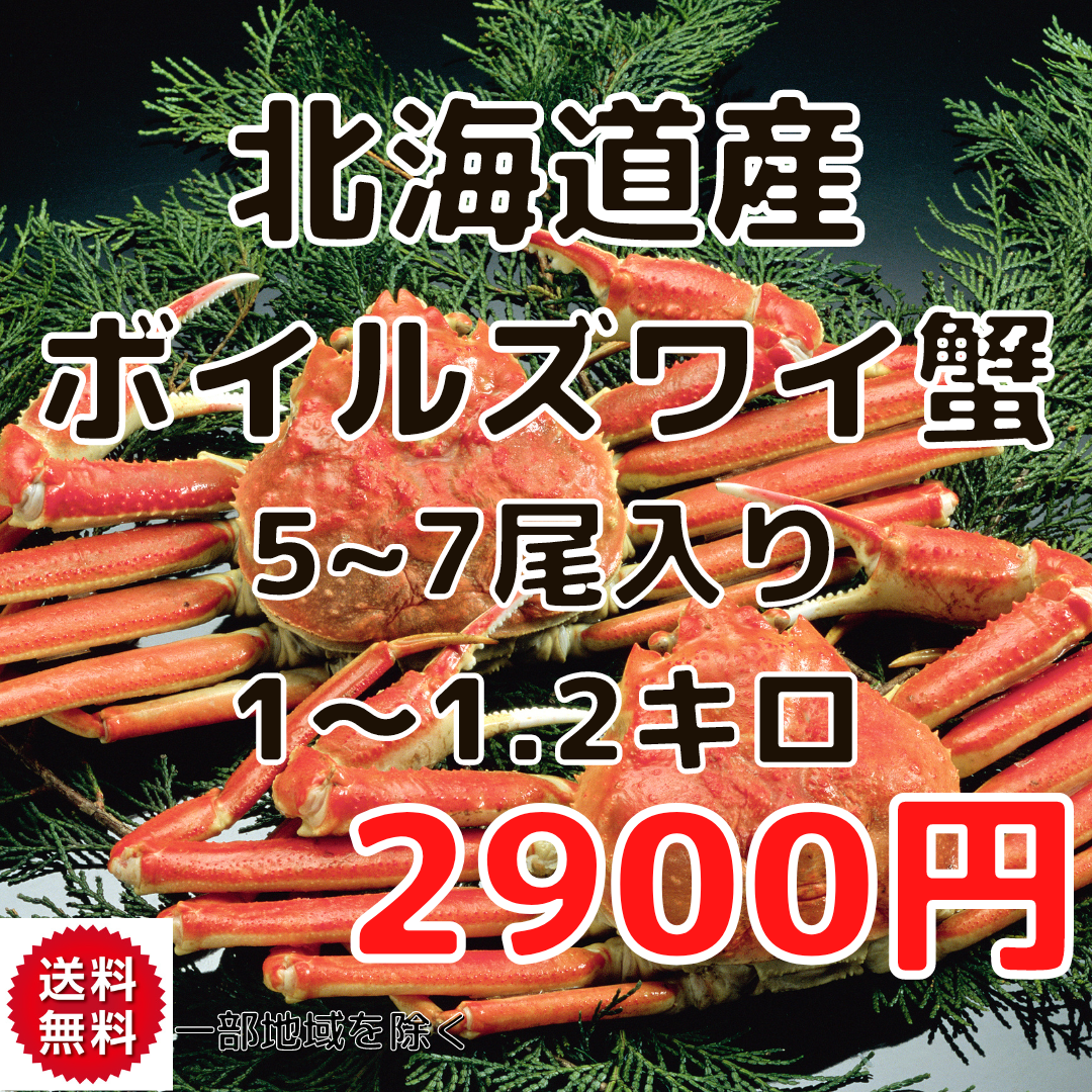 函館産 ズワイガニ 7尾