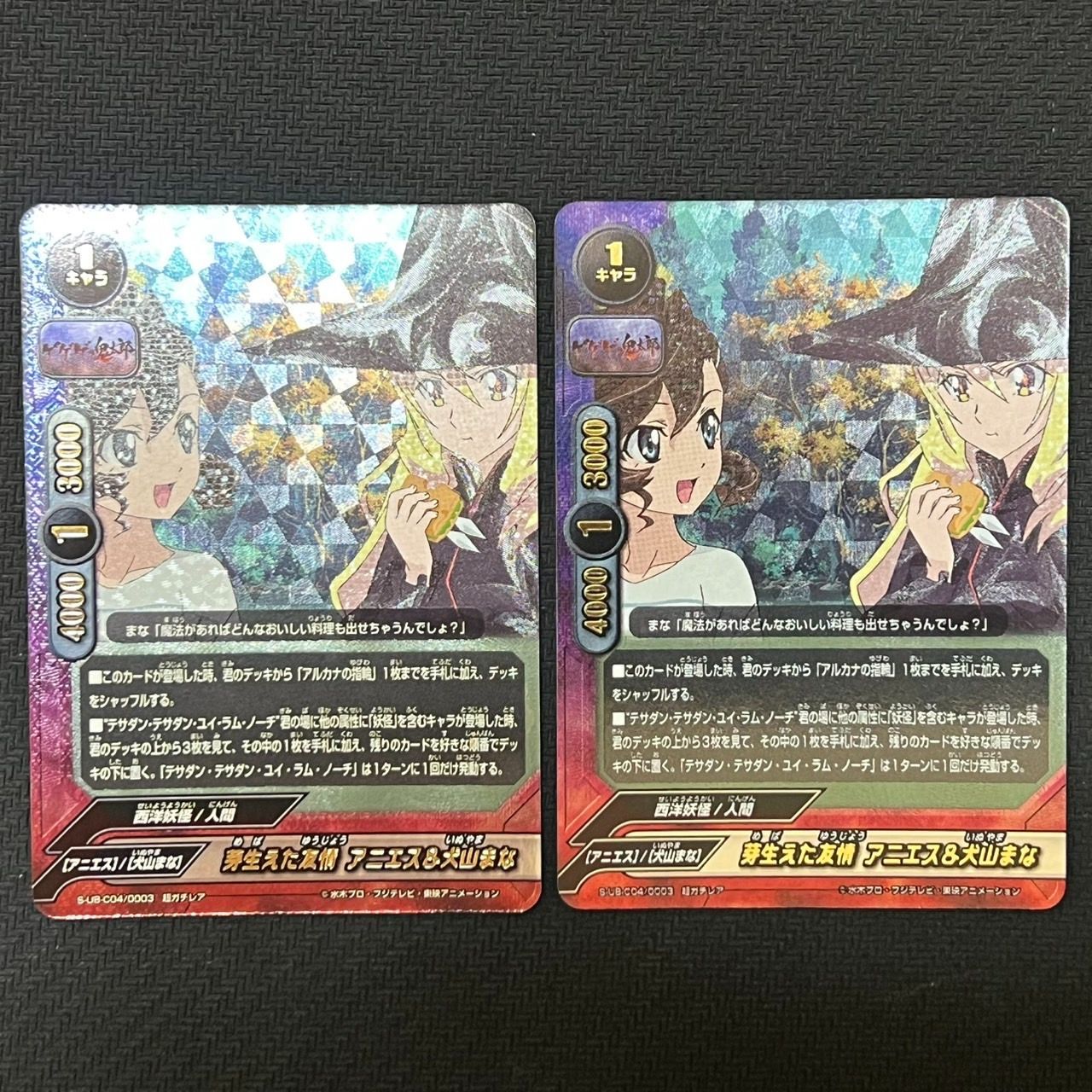 芽生えた友情 アニエス＆犬山まな バディファイト 【公式通販】