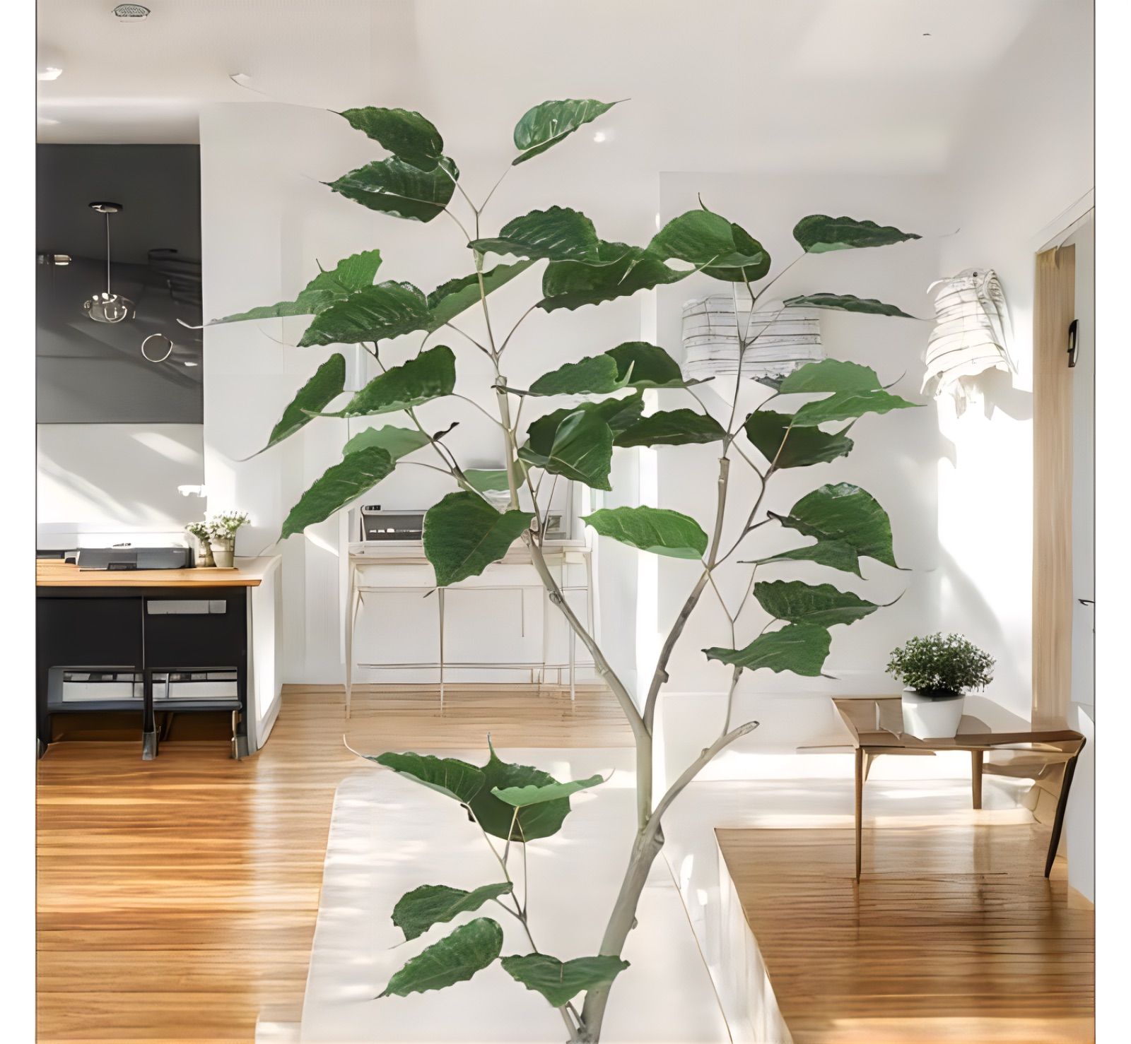 光触媒　人工観葉植物　ウォールグリーン　フェイクグリーン　インドボダイジュFST 光触媒 人工観葉植物 ウォールグリーン フェイクグリーン インド