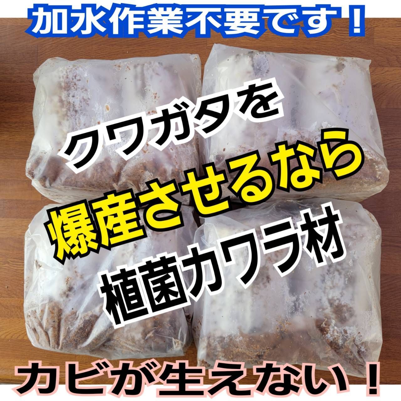 5本セット！クワガタの産卵木はコレが最強！ カワラ植菌材【特大