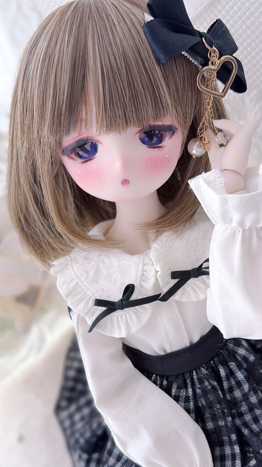DDH-29 SW肌