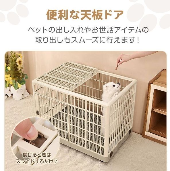 中型犬