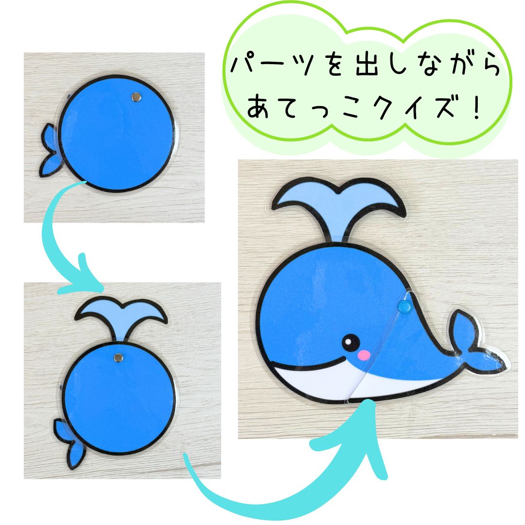まんまるちゃん・夏の7色セット（20cm） - メルカリ