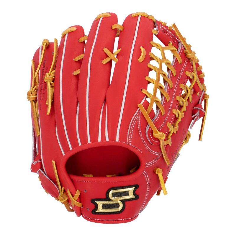 ジャイアンツ澤村拓一、石川慎吾選手 直筆サインボール 投げ入れ 千葉