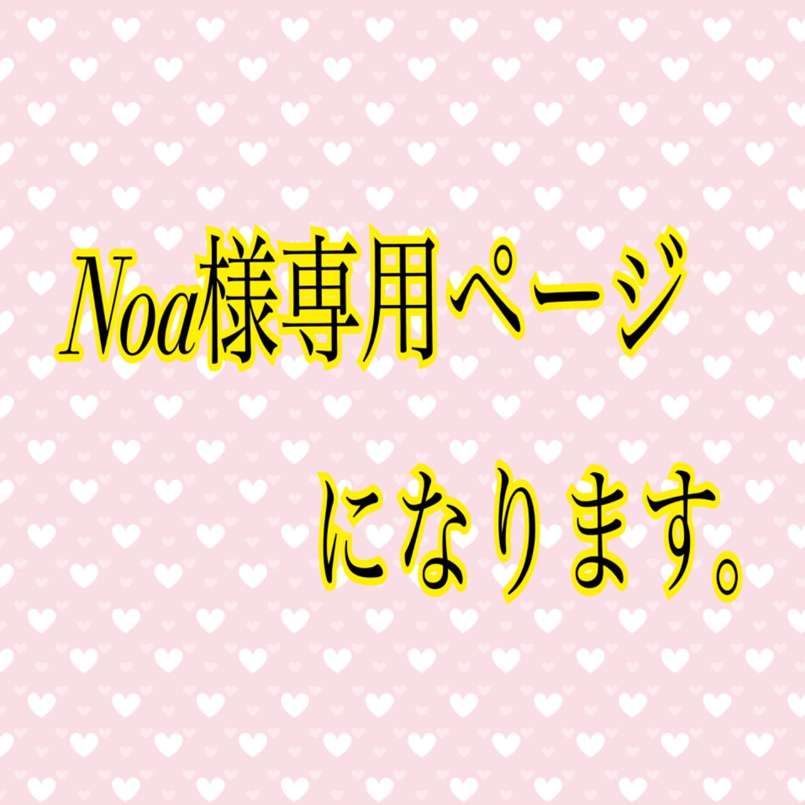 Noa様専用ページになります。 - メルカリ